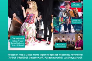 XIII. Galgamenti Népzenészek Újévi Koncertje